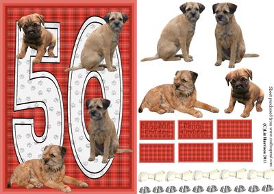 Border Terrier 50th Birthday Card