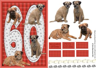 Border Terrier 60th Birthday Card