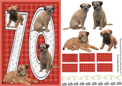 Border Terrier 70th Birthday Card