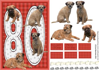 Border Terrier 80th Birthday Card