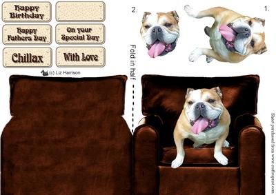 Bulldog Sat in a Chair