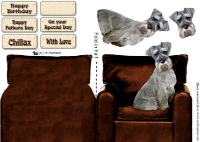 Miniature Schnauzer in Am Armchair