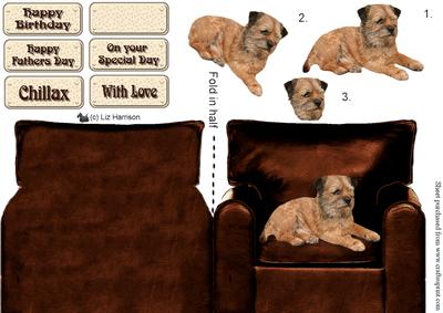 Border Terrier in an Armchair
