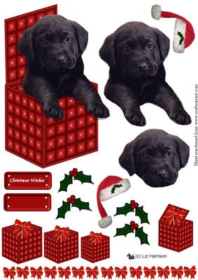 Black Labrador Puppy in a Christmas Box