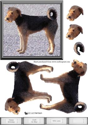 Airedale Terrier 3D Decoupage