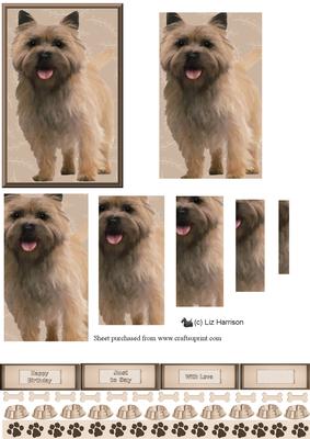 Cairn Terrier Dog Pyramid