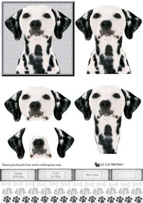 Dalmatian Dog Portrait 3D Decoupage