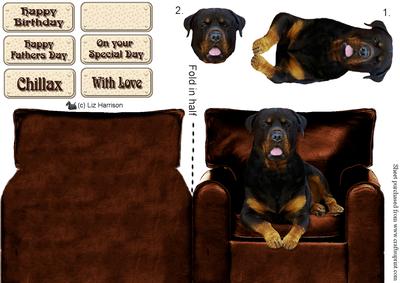 Rottweiler in an Armchair