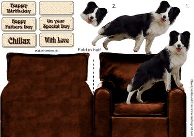 Border Collie on an Armchair