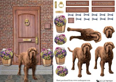Mastiff Dog on a Doorstep