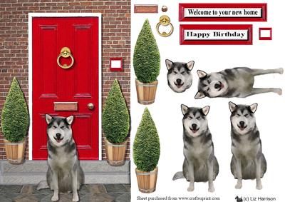 Alaskan Malamute with a Red Door