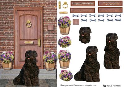 Russian Black Terrier on a Doorstep