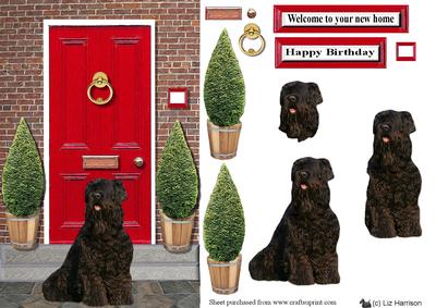 Russian Black Terrier with a Red Door