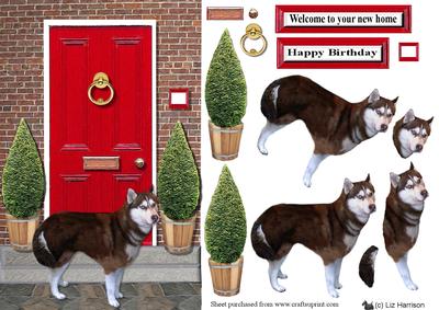 Siberian Husky with a Red Door