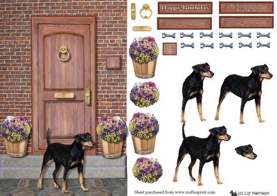 German Pinscher on a Doorstep