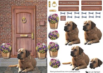 Bullmastiff on a Door Step