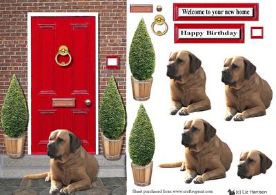 Bullmastiff with a Red Door