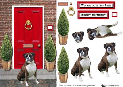 Boxer Dog with a Red Door