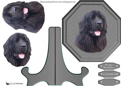 Newfoundland,black,plaque & Stand