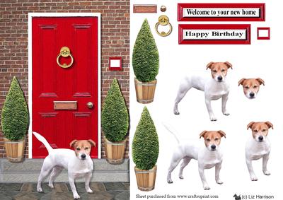 Jack Russell Terrier with a Red Door