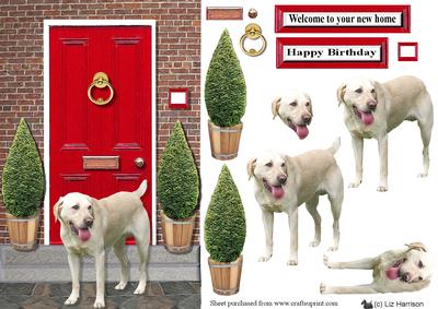 Labrador Retriever,golden ,with a Red Door