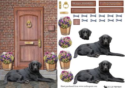 Black Labrador Retriever on a Door Step