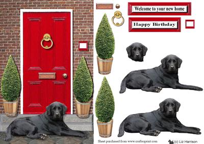 Black Labrador Retriever with a Red Door