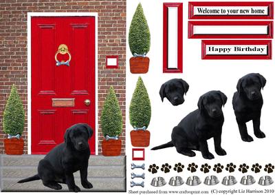 Labrador Retriever Puppy,black,with a Red Door