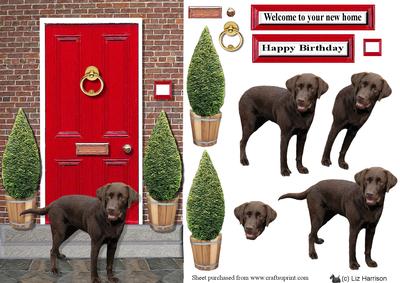Labrador Retriever,chocolate,with a Red Door