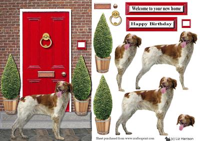 Brittany Spaniel with a Red Door