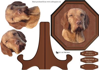 Hungarian Vizsla, Wire Haired, Plaque & Stand