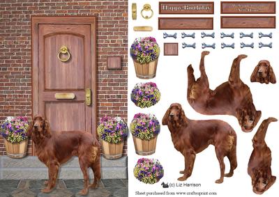 Irish Red Setter on a Door Step