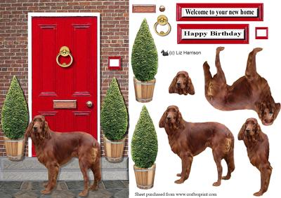 Irish Red Setter with Red Door