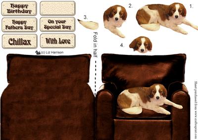 Kooikerhondje Dog in an Armchair