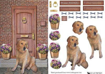 Golden Retriever on a Door Step