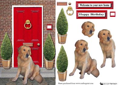 Golden Retriever Red Door