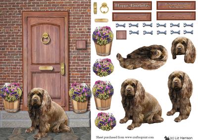Sussex Spaniel on a Door Step
