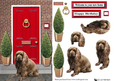 Sussex Spaniel with a Red Door