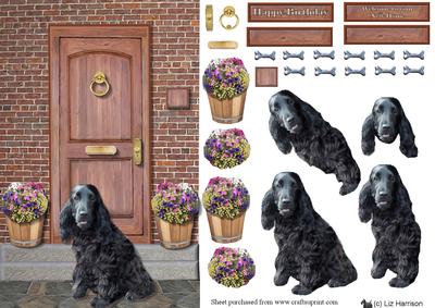 Cocker Spaniel ,black on a Doorstep