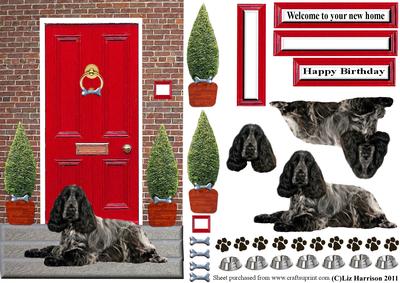 Cocker Spaniel,black & White,with Red Door