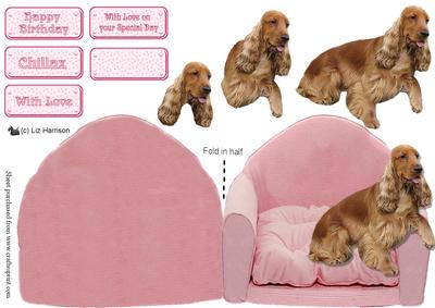 Cocker Spaniel,golden,on a Pink Arm Chair