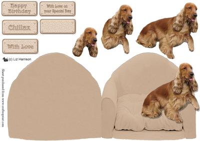 Cocker Spaniel,golden,on a Beige Armchair