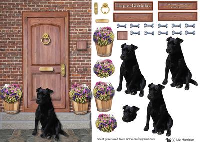 Patterdale Terrier on a Door Step