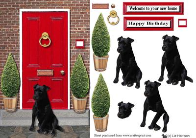 Patterdale Terrier with a Red Door