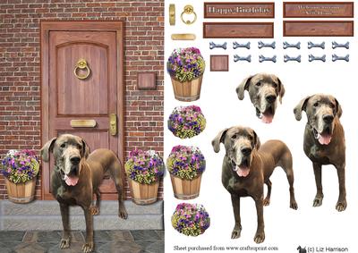 Great Dane on a Door Step