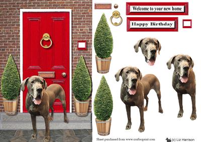 Great Dane with a Red Door