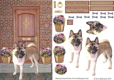 Akita on a Door Step