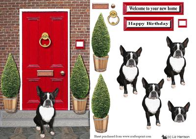 Boston Terrier with a Red Door
