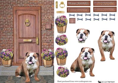 Bulldog on a Door Step