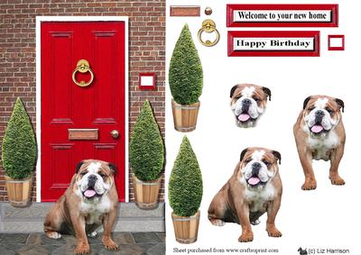 Bulldog with a Red Door